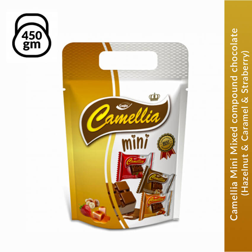 Camellia Mini Mixed Compound Chocolate (Hazelnut & Caramel & Straberry), 450 gm
